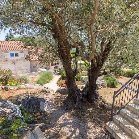 Olive Garden Apartman Ston Kültér fotó