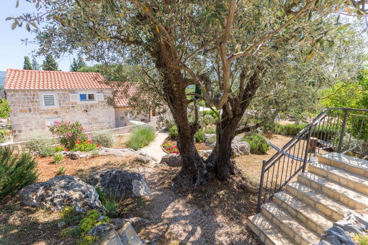 Olive Garden Apartman Ston Kültér fotó