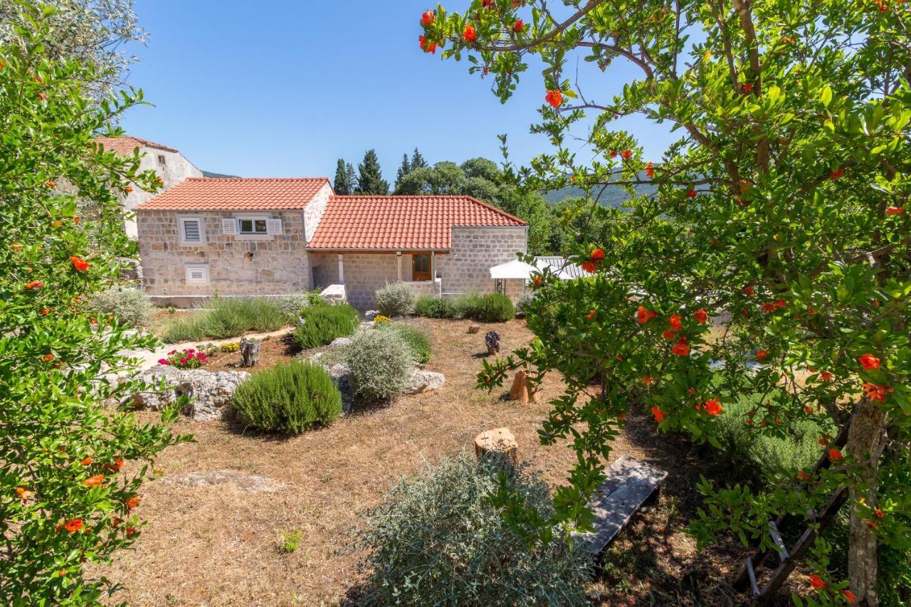 Olive Garden Apartman Ston Kültér fotó