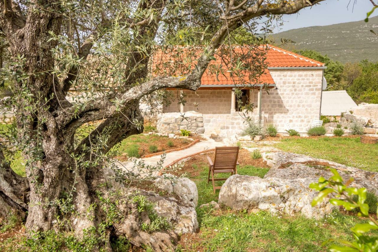 Olive Garden Apartman Ston Kültér fotó